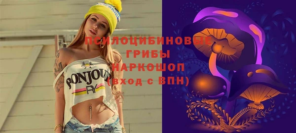 ECSTASY Алексин