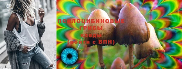 ECSTASY Алексин
