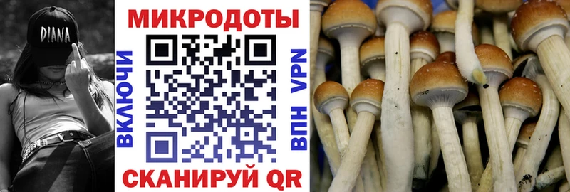 мега зеркало Нижний Тагил Галлюциногенные грибы ЛСД